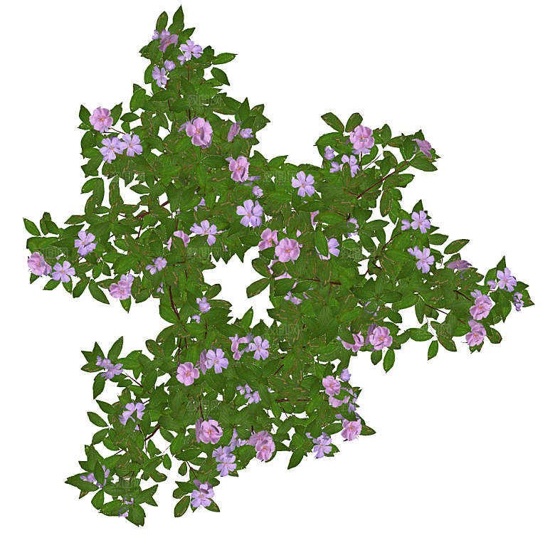 平面植物景观园林乔木灌木花草木顶视图