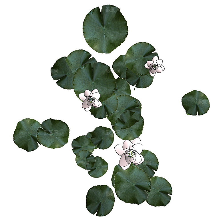 平面植物景观园林乔木灌木花草木顶视图