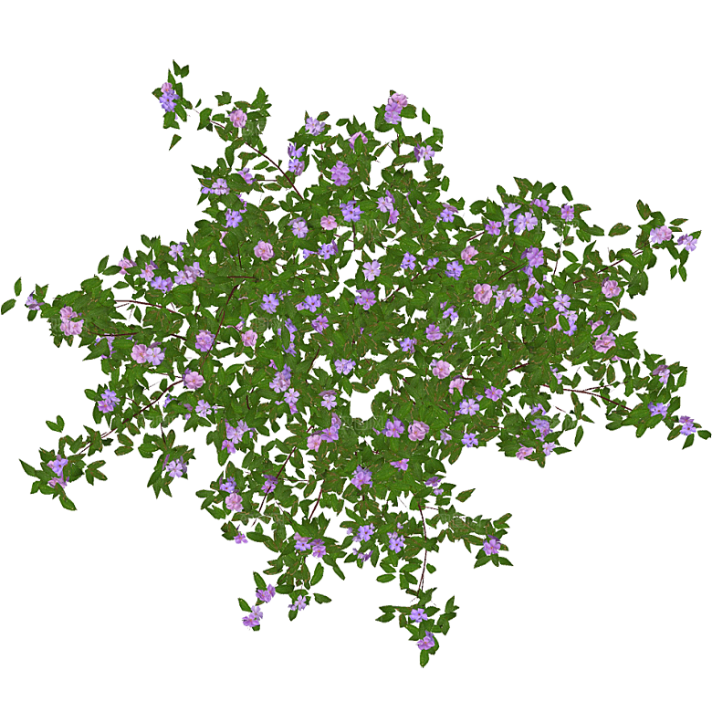 平面植物景观园林乔木灌木花草木顶视图