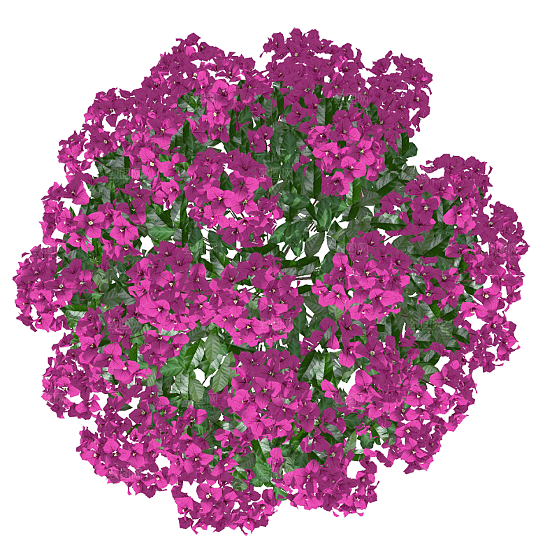 平面植物景观园林乔木灌木花草木顶视图素材