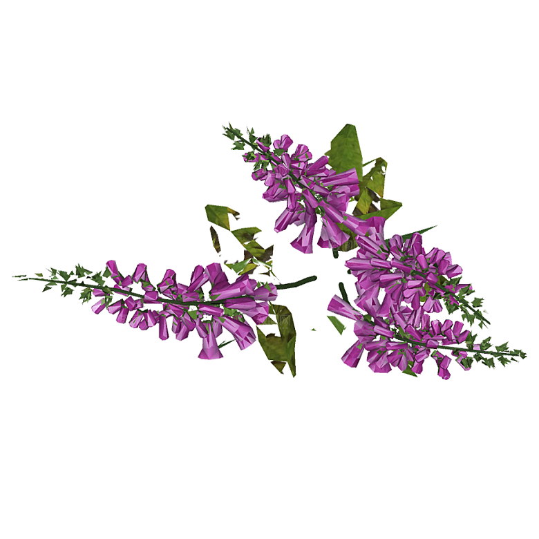 平面植物景观园林乔木灌木花草木顶视图