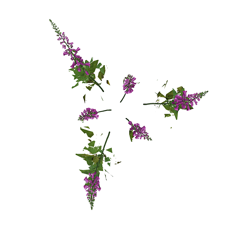 平面植物景观园林乔木灌木花草木顶视图