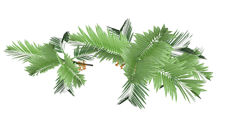 平面植物景观园林乔木灌木花草木顶视图素材