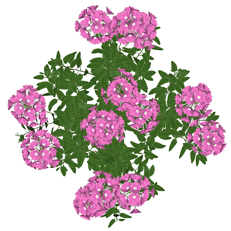 平面植物景观园林乔木灌木花草木顶视图素材