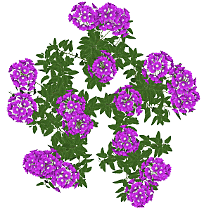 平面植物景观园林乔木灌木花草木顶视图素材