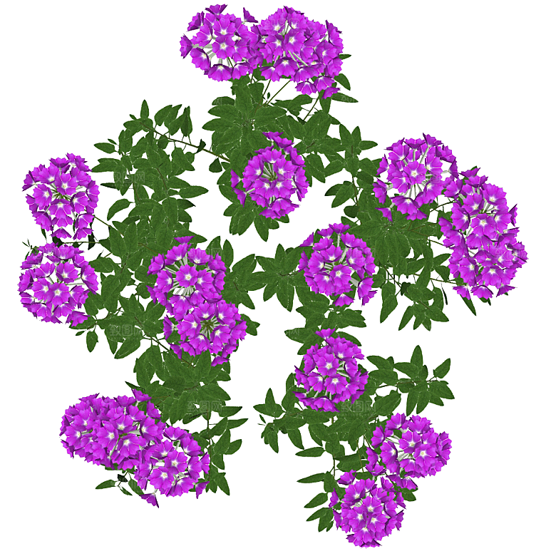 平面植物景观园林乔木灌木花草木顶视图素材