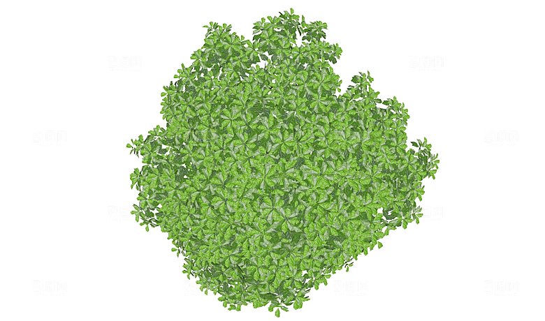平面植物景观园林乔木灌木花草木顶视图素材
