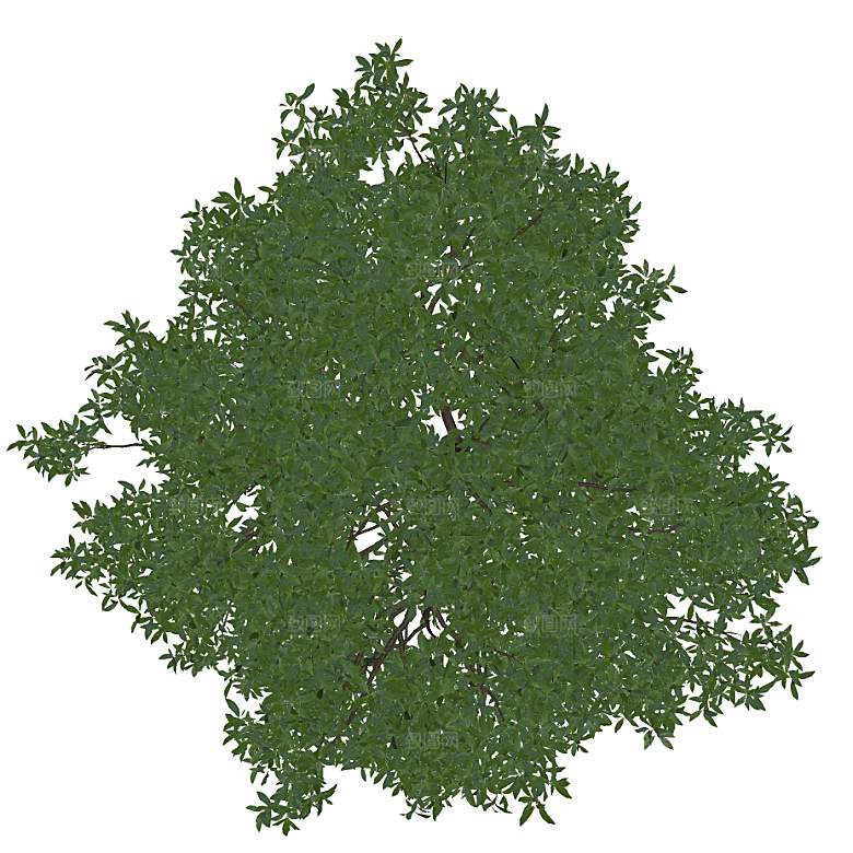 平面植物景观园林乔木灌木花草木顶视图素材