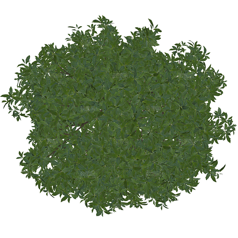 平面植物景观园林乔木灌木花草木顶视图