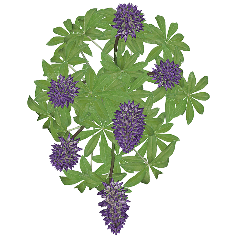 平面植物景观园林乔木灌木花草木顶视图