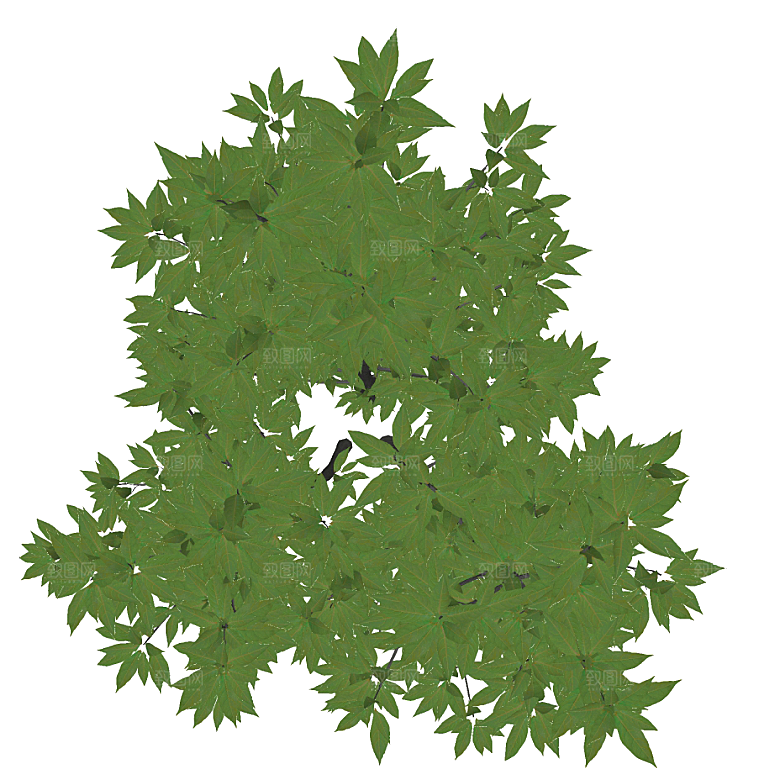 平面植物景观园林乔木灌木花草木顶视图