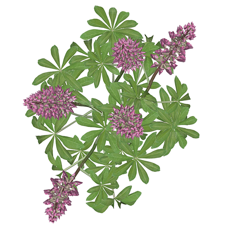 平面植物景观园林乔木灌木花草木顶视图