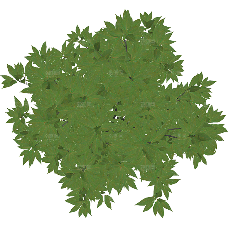 平面植物景观园林乔木灌木花草木顶视图
