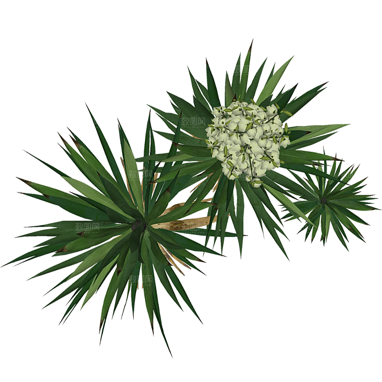 平面植物景观园林乔木灌木花草木顶视图