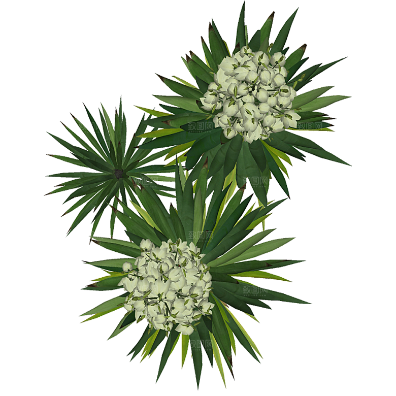 平面植物景观园林乔木灌木花草木顶视图