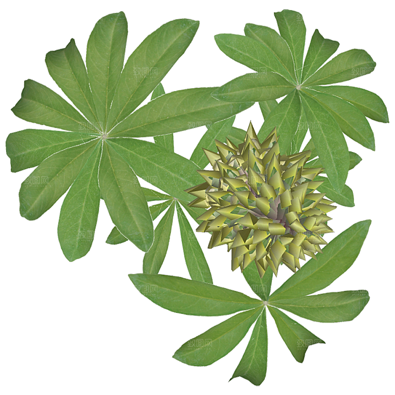平面植物景观园林乔木灌木花草木顶视图素材