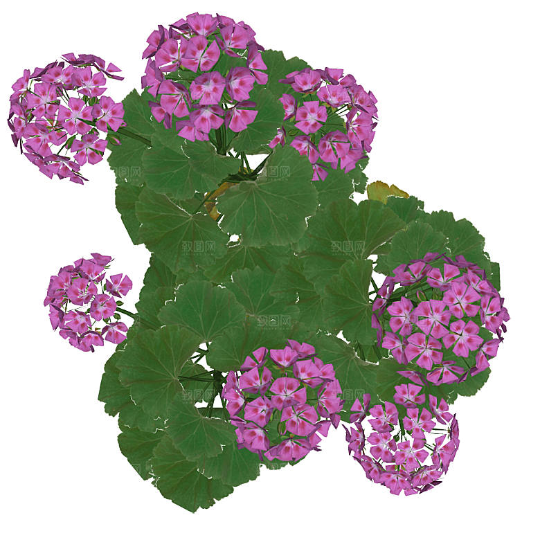平面植物景观园林乔木灌木花草木顶视图素材