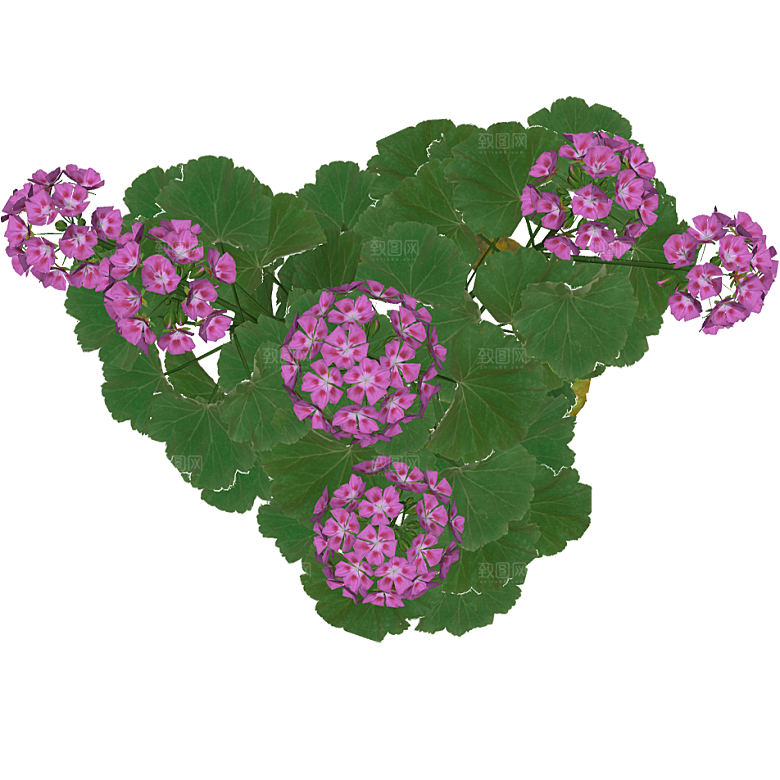 平面植物景观园林乔木灌木花草木顶视图素材