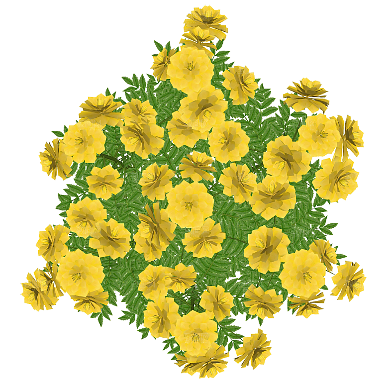 平面植物景观园林乔木灌木花草木顶视图素材