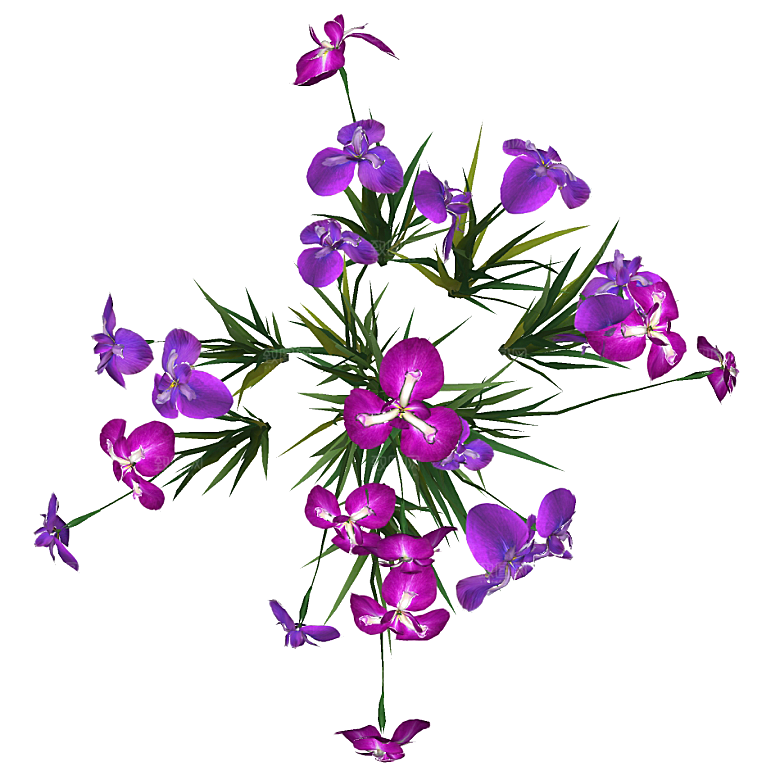 平面植物景观园林乔木灌木花草木顶视图素材