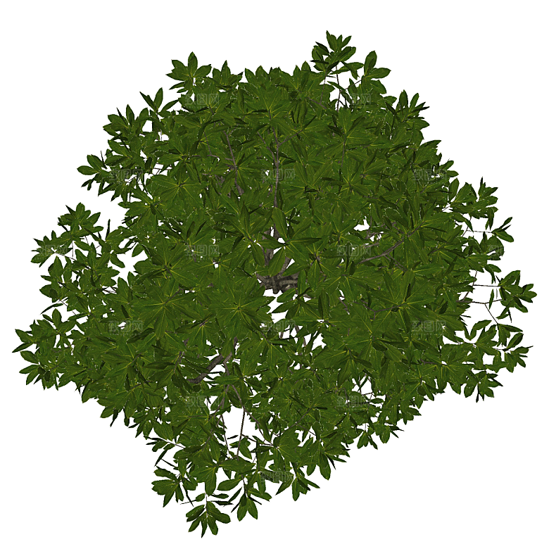 平面植物景观园林乔木灌木花草木顶视图