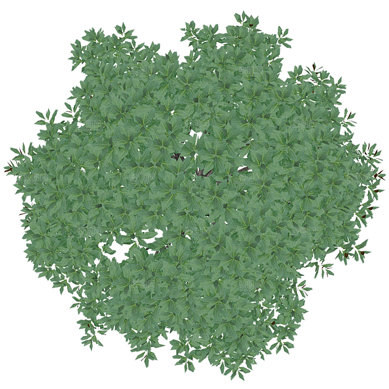 平面植物景观园林乔木灌木花草木顶视图