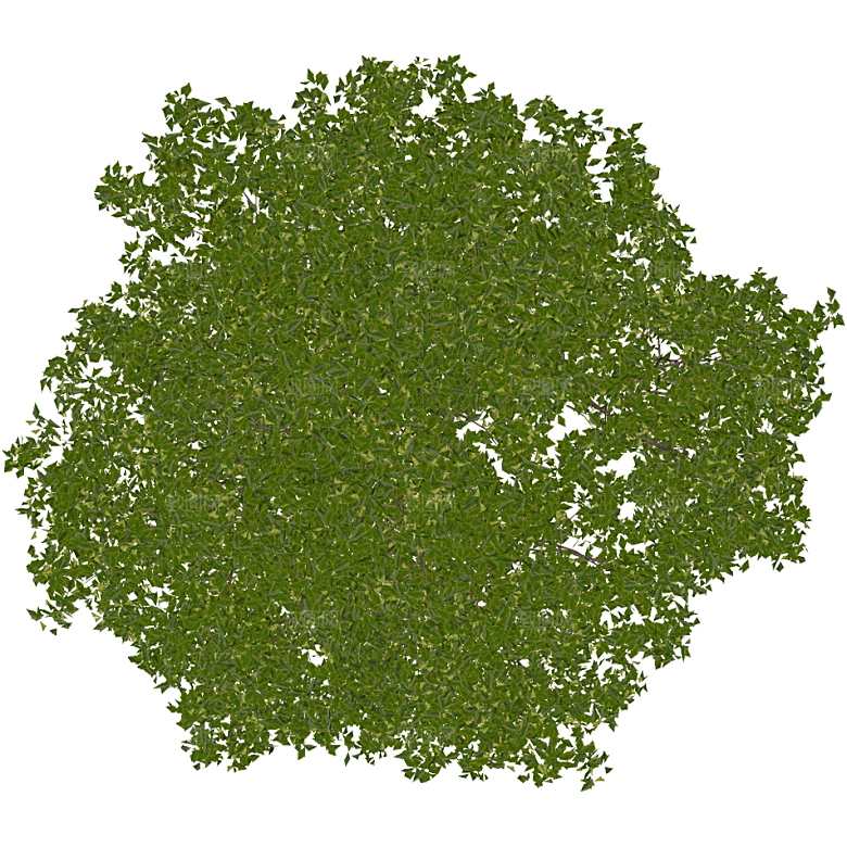 平面植物景观园林乔木灌木花草木顶视图