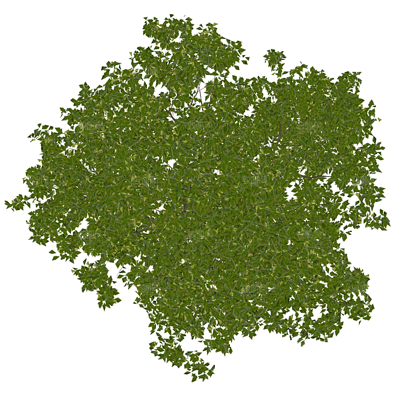 平面植物景观园林乔木灌木花草木顶视图