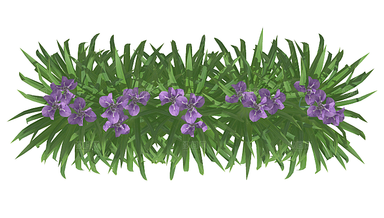 平面植物景观园林乔木灌木花草木顶视图素材
