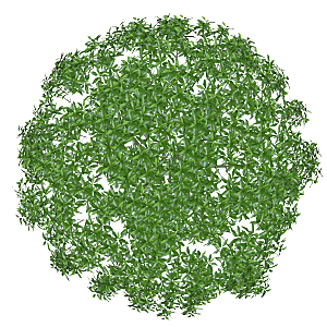 平面植物景观园林乔木灌木花草木顶视图素材