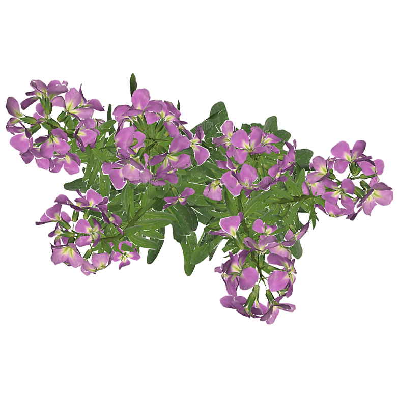 平面植物景观园林乔木灌木花草木顶视图