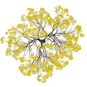 平面植物景观园林乔木灌木花草木顶视图