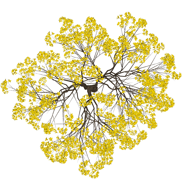 平面植物景观园林乔木灌木花草木顶视图