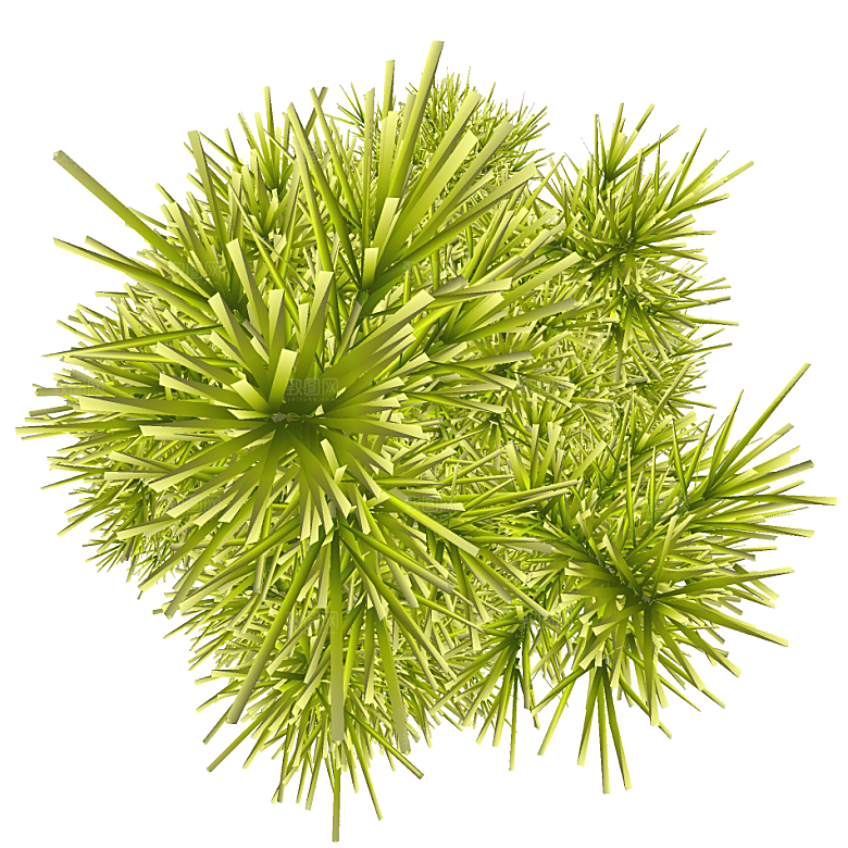 平面植物景观园林乔木灌木花草木顶视图