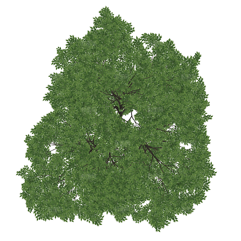 平面植物景观园林乔木灌木花草木顶视图素材
