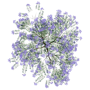 平面植物景观园林乔木灌木花草木顶视图素材