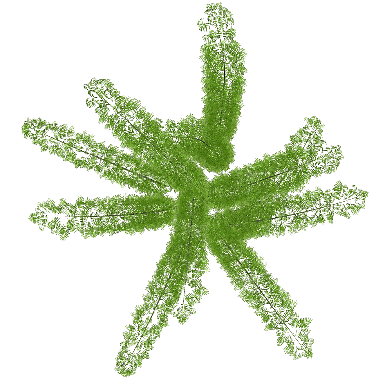 平面植物景观园林乔木灌木花草木顶视图素材