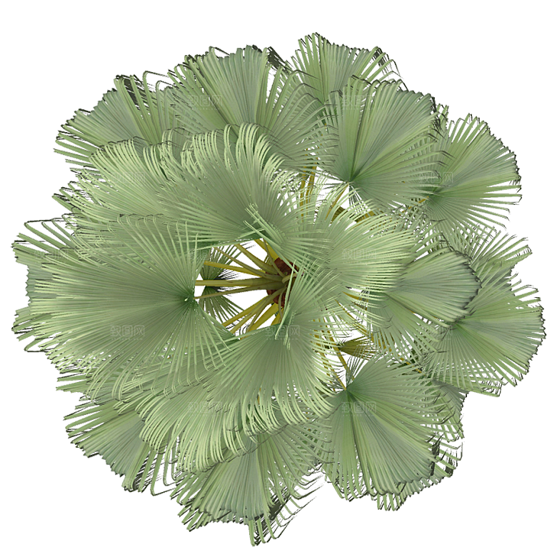 平面植物景观园林乔木灌木花草木顶视图素材