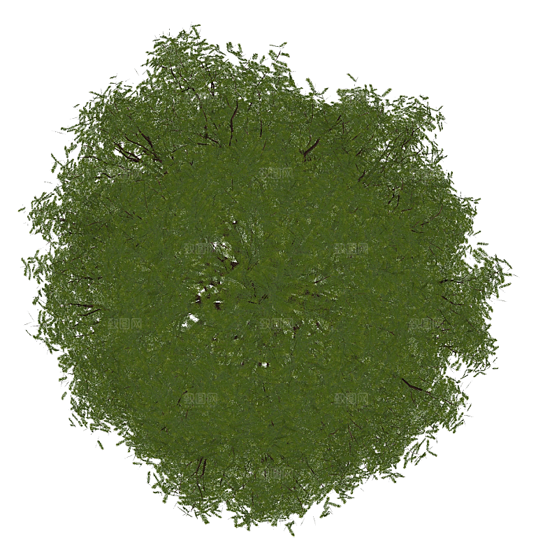 平面植物景观园林乔木灌木花草木顶视图素材