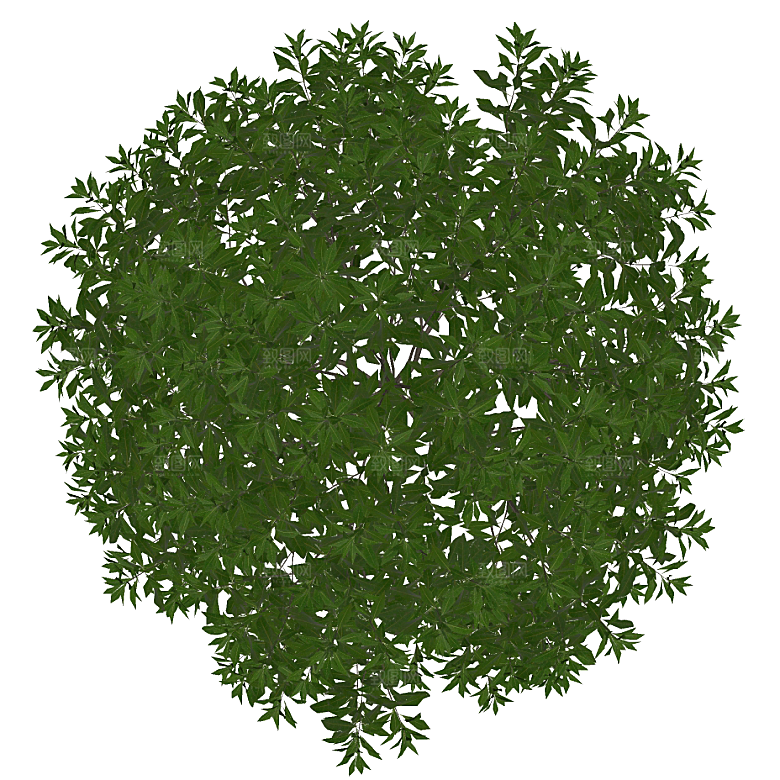 平面植物景观园林乔木灌木花草木顶视图素材