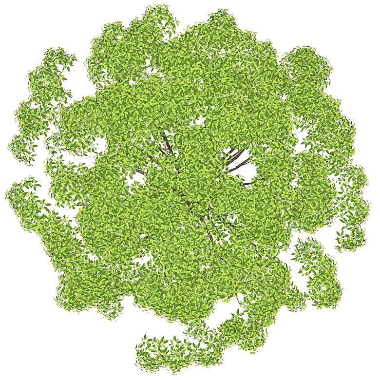 平面植物景观园林乔木灌木花草木顶视图