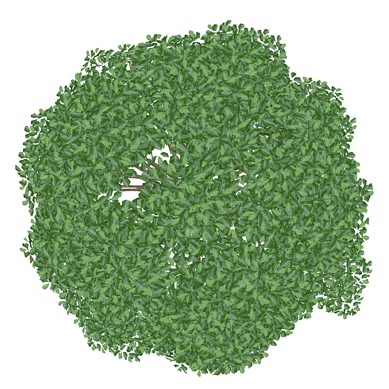 平面植物景观园林乔木灌木花草木顶视图