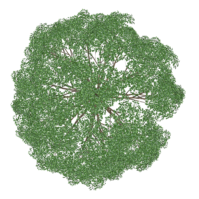 平面植物景观园林乔木灌木花草木顶视图