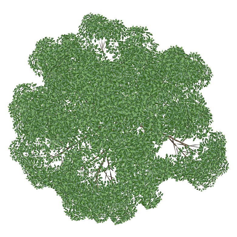 平面植物景观园林乔木灌木花草木顶视图