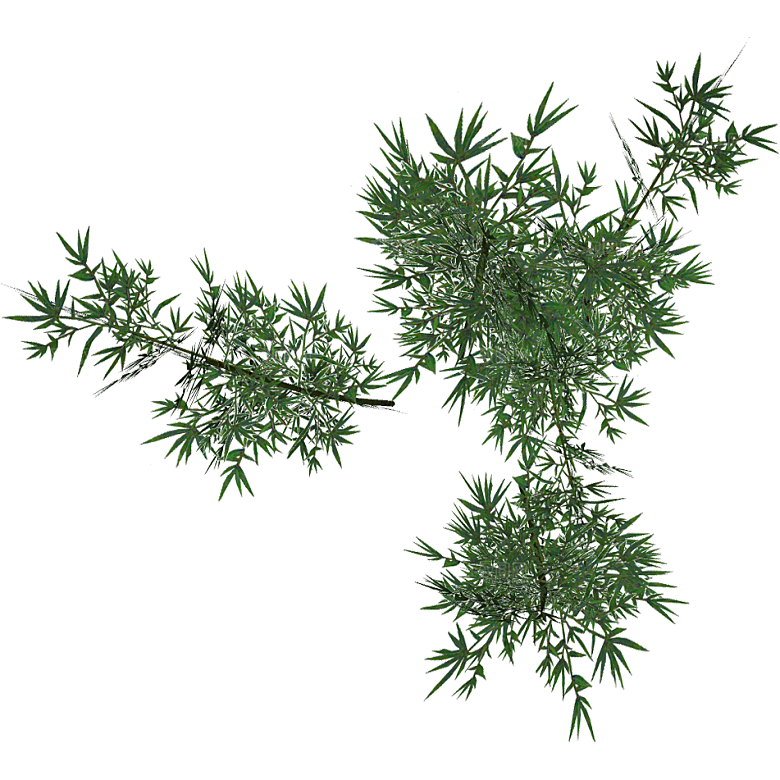 平面植物景观园林乔木灌木花草木顶视图