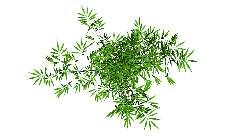 平面植物景观园林乔木灌木花草木顶视图