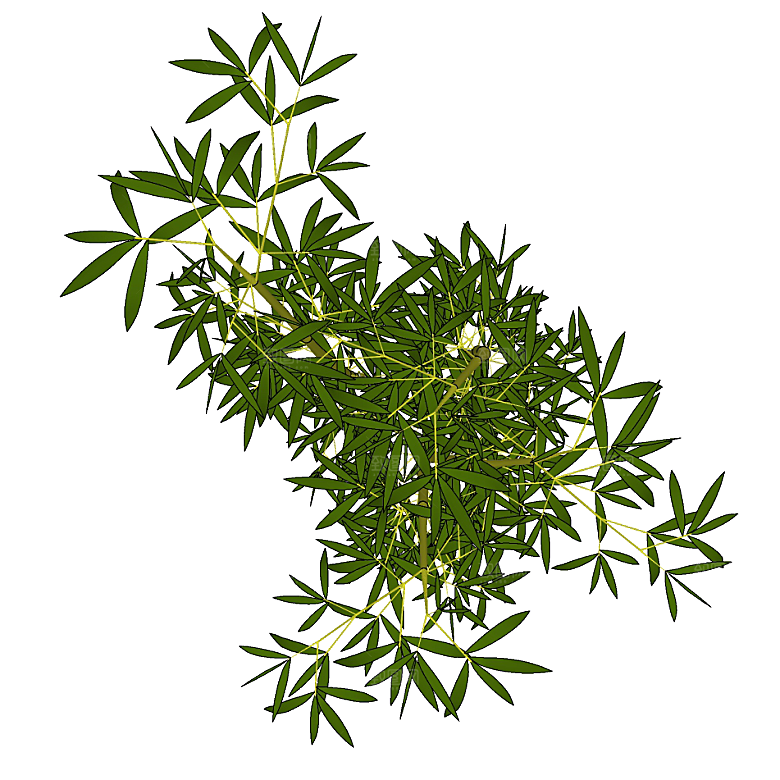 平面植物景观园林乔木灌木花草木顶视图素材