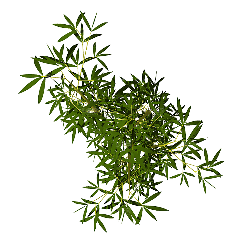 平面植物景观园林乔木灌木花草木顶视图素材