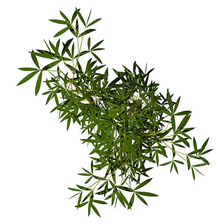平面植物景观园林乔木灌木花草木顶视图素材
