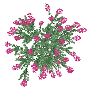 平面植物景观园林乔木灌木花草木顶视图素材